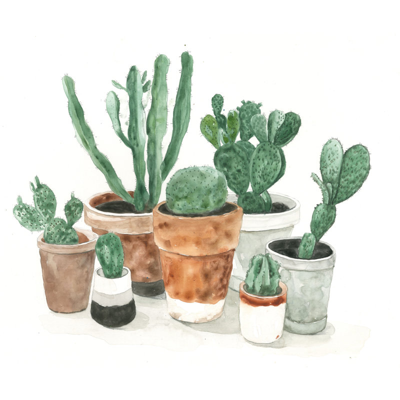 The Cactus - Painting Print, Wrapped Canvas, 20cm H x 30cm W