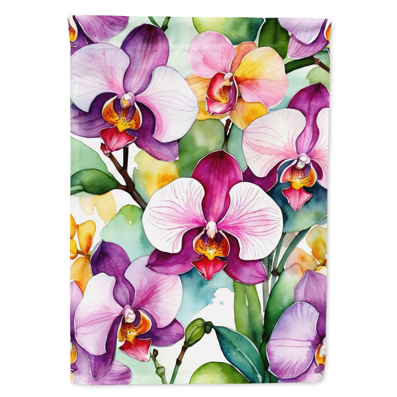 Drapeau de jardin d'orchidées, Orchidées phalaenopsis