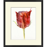 Tulip Study 3 Painting