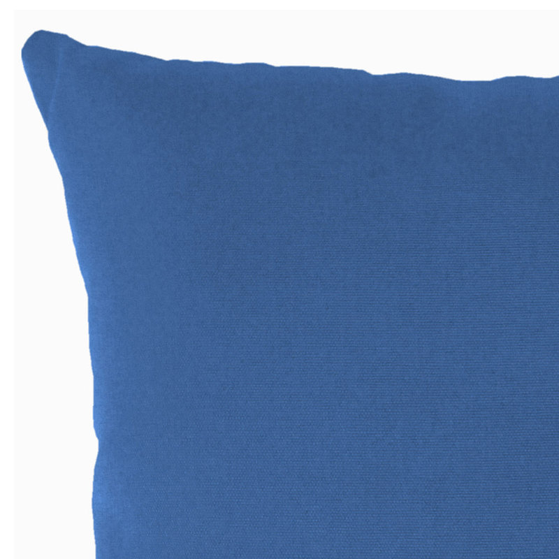18" x 18" Solid Outdoor Throw Pillow (Set of 2), Blue