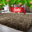 Frede Solid Colour Area Rug-1529691307
