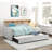 1Pc Daybed With Pull-Out Trundle Bookcase Side Panel Charging Ports Nailhead Trim