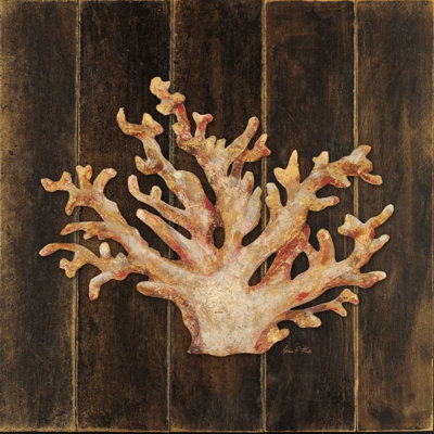  Art sur toile tendue, Fisk, Arnie Gallery: Ocean Coral