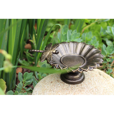 Bain d’oiseaux de table Bergson
