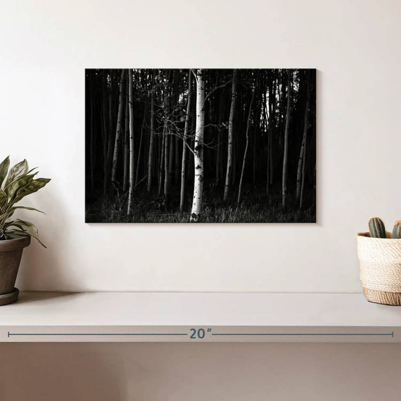 Harnek Black Forest, 8" H x 12" W