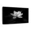 Fleur de lotus, impression monochrome sur toile-286247658