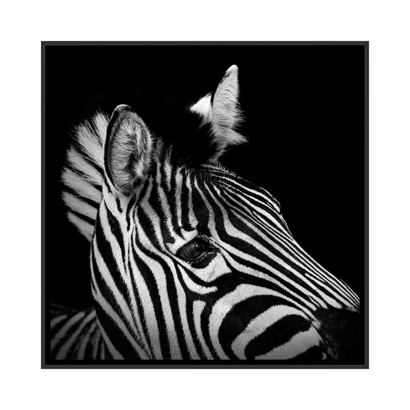 « zèbre ii », reproduction de photo sur toile, H 18 po x l 18 po x P 1,5 po, Toile avec cadre noir, Pas de tapis