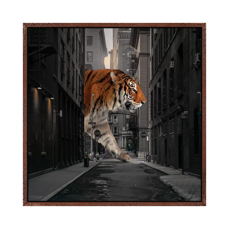 Tiger In NY I by Kathrin Federer - Print on Canvas, 66.04cm H x 66.04cm W x 3.81cm D, Classic Brown Wood Framed