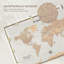 Time Pin's World Pin II-1593705822