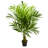 Kentia Palm Artificial Tree