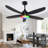 42" RGB Ceiling Fan With Led Light and Remote/App Control