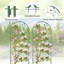 Metal Arched Trellis-54254351-54254345
