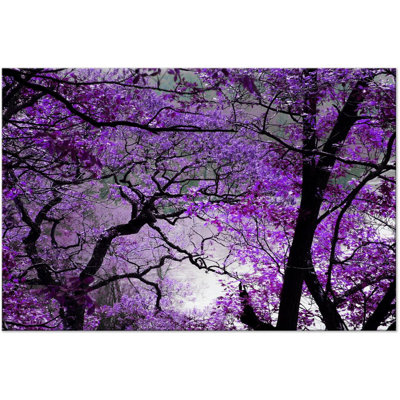 " Purple Afternoon "