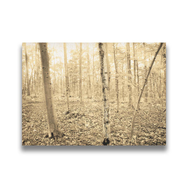 «Early Autumn Forest» par Hal Halli. Toile giclée sur toile tendue avec cadre flottant, H 30 po x l 40 po, Toile tendue