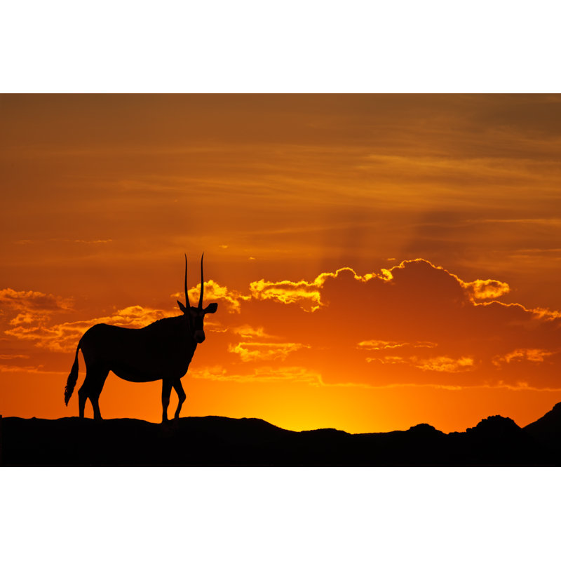 Gemsbok Silhouette by EcoPic - Wrapped Canvas Print, 30cm H x 46cm W