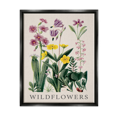 Bb-335-Floater " Various Wildflowers Study "