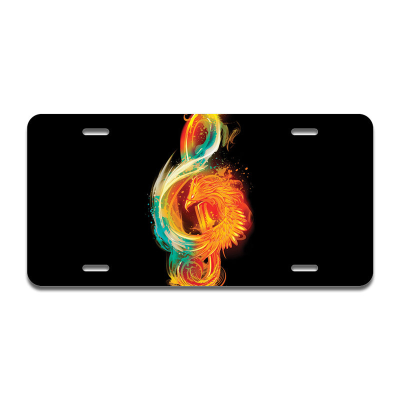Cadre en aluminium Music Reborn