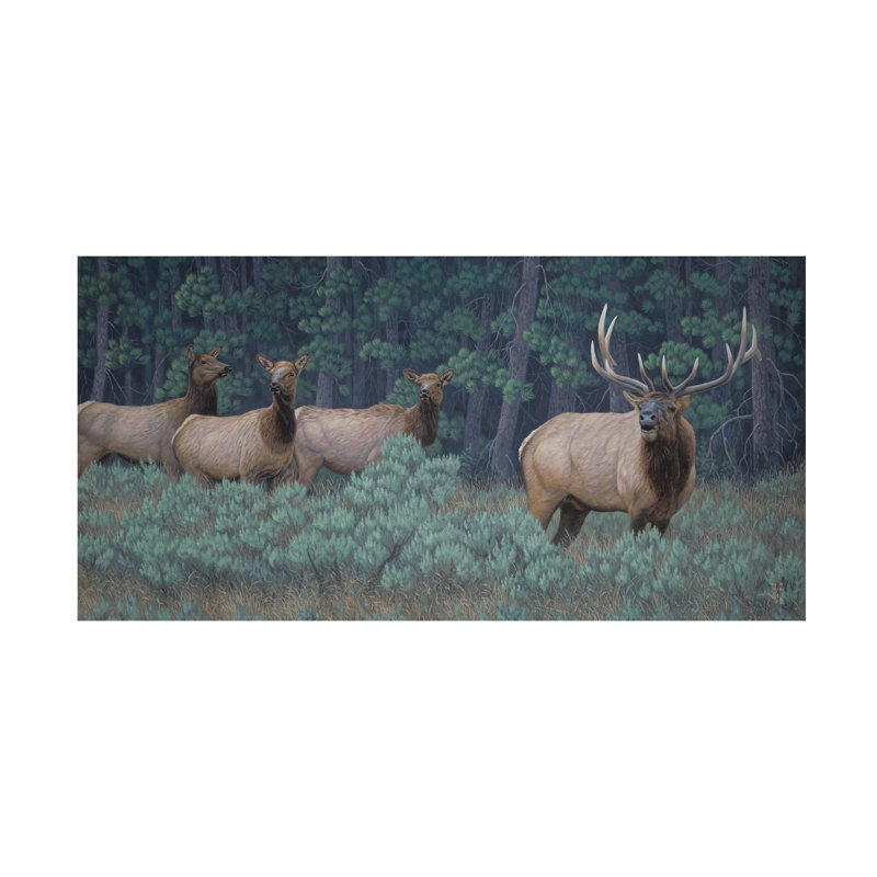 Art sur toile Jeff Hoff, H 16 po x l 32 po