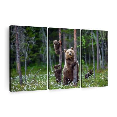«Bears In Forest» sur