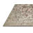 Oriental Indoor Rug-1822978572