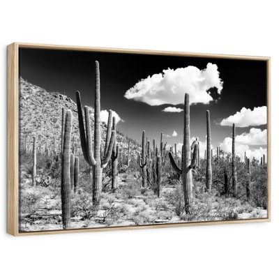 Black Arizona - Cactus Forest