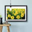 Yellow Sunflower Meadow - Picture Frame Painting Print-55613808-55613799