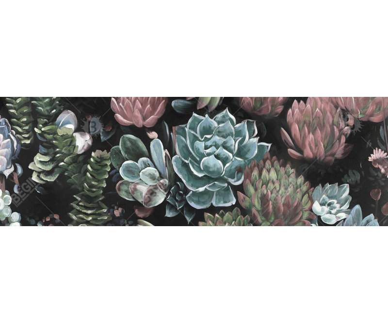 Ensemble de plantes grasses exotiques | Décoration de chambre rose encadrée