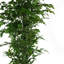 180cm Faux Tree in Pot Liner