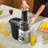 VEVOR 1000W 2 Speed Centrifugal Juice Extractor Juicer Machine