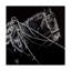 « d’abdomination 1 », reproduction d’impression sur toile tendue-33514372