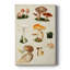Mushroom Species IV - galerie sur mesure-1335735456