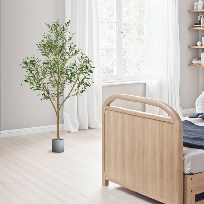 Faux Olive Tree Tree in Pot, 152.4cm H x 73cm W x 73cm D