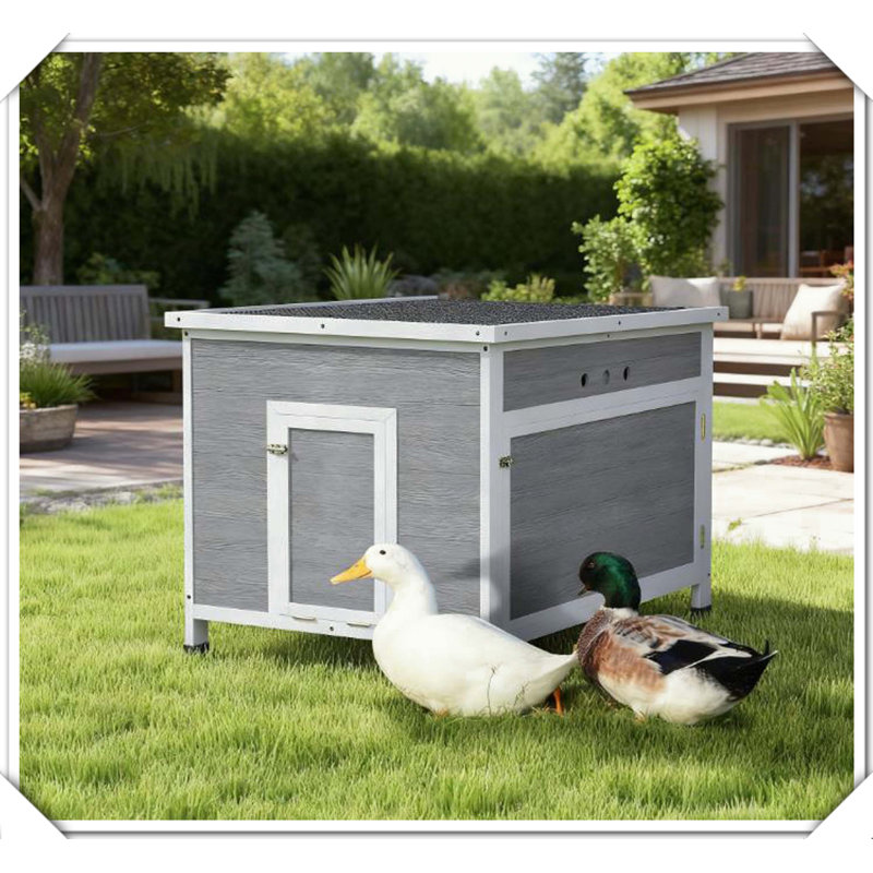 Cage en bois avec toit ouvrable et portes doubles amovibles, H 30,3 po x l 29,9 po x P 37,8 po