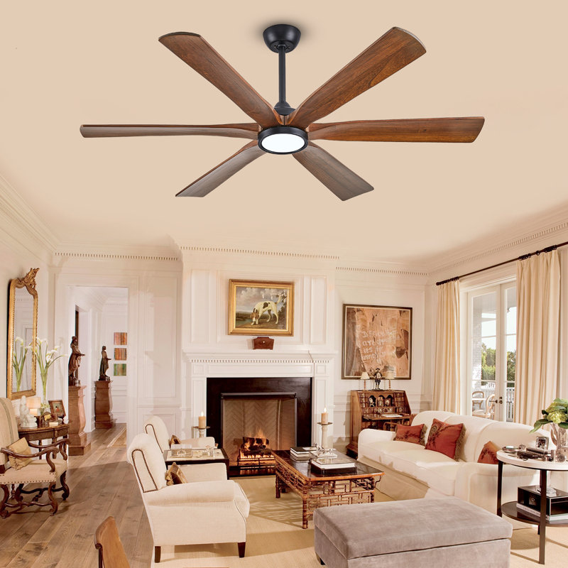 Ceiling Fan