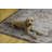 Delacroy Machine Washable Pale Blue and Ivory Area Rug-1001641906