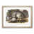 Oak Framed selected