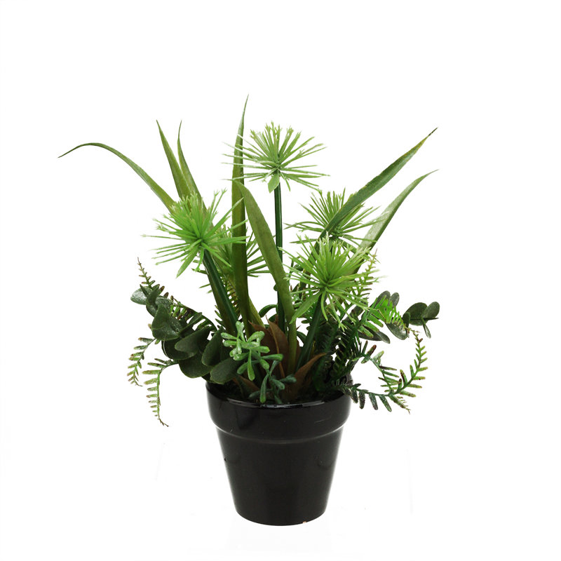 Plante grasse artificielle en pot 10 po