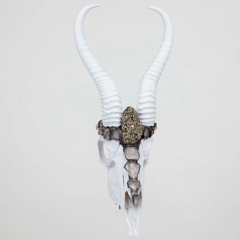 Warrin Springbok Skull wih Horns with Pyrite Mounted Statue