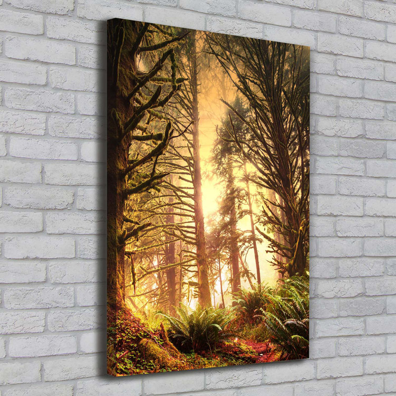 The Rainforest - Wrapped Canvas Print
