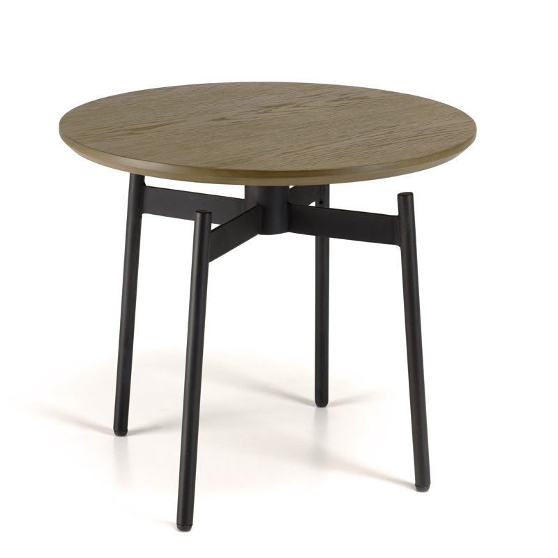 Acampora End Table