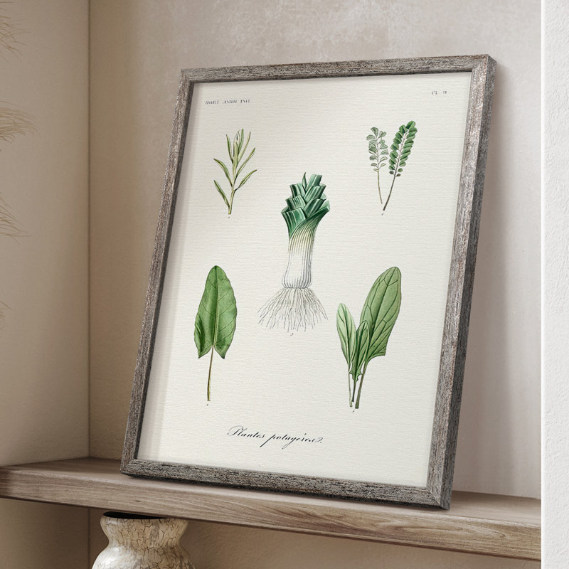 Fruit & Vegetable Varieties I Framed Print - Solid Wood, 11" H x 9" W