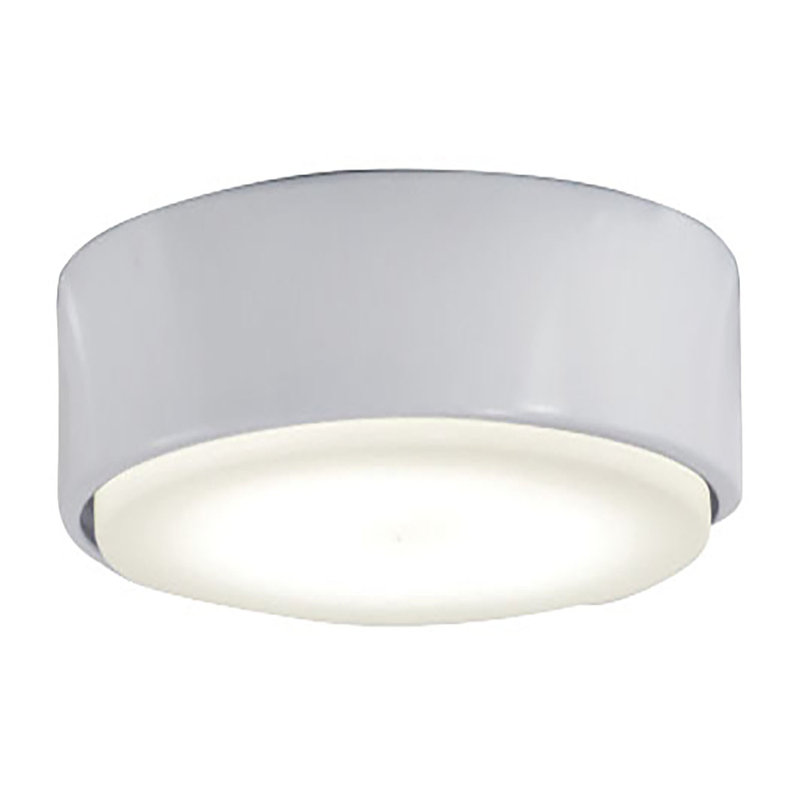 Xtreme H20 1-Light LED Ceiling Fan Globe Light Kit, White