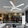 56'' Ellaura LED Ceiling Fan with Light Kit and Remote Control Included