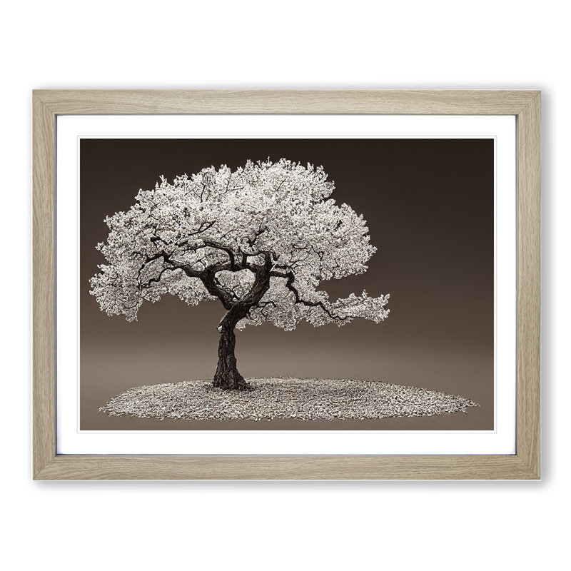 Splendid Tree - Framed Print, 34cm H x 46cm W x 2cm D, Oak
