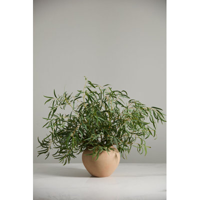 Kastanos Vase Large