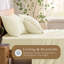 Ensemble de 2 taies d'oreiller en viscose TOSMO-111028589-111028594