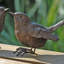 Ensemble de figurine 2 pièces sparrow Cordero