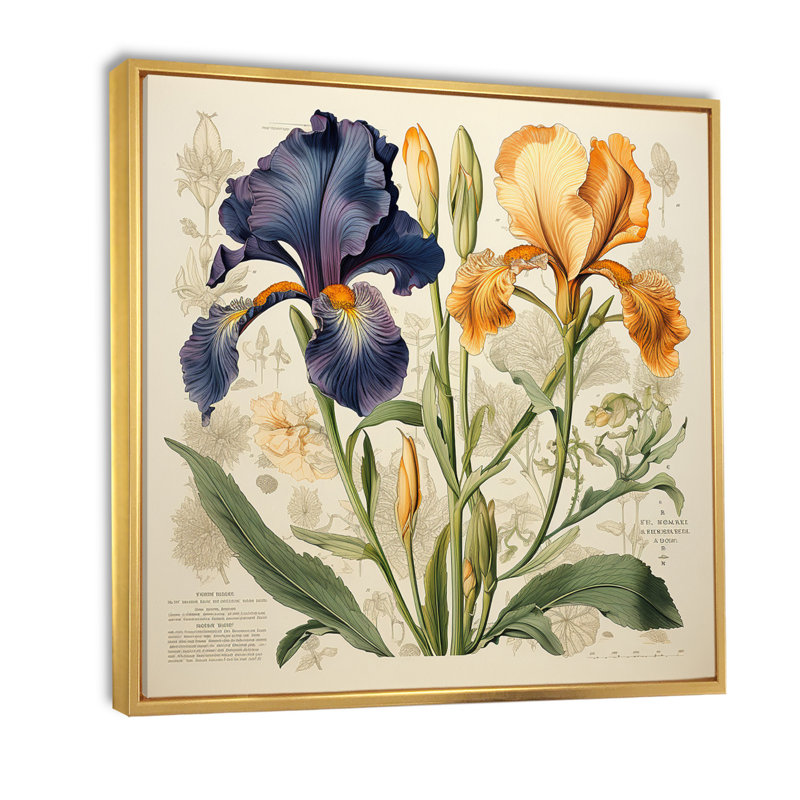 Iris bleu et doré, illustration rétro sur toile, Cadre flottant doré, H 30 po x l 30 po x P 1 po