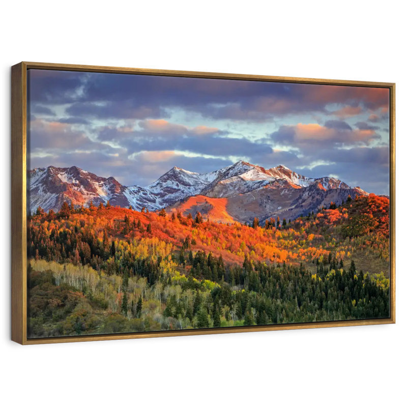 Mont Wasatch, Cadre flottant doré, 31 po x 21 po