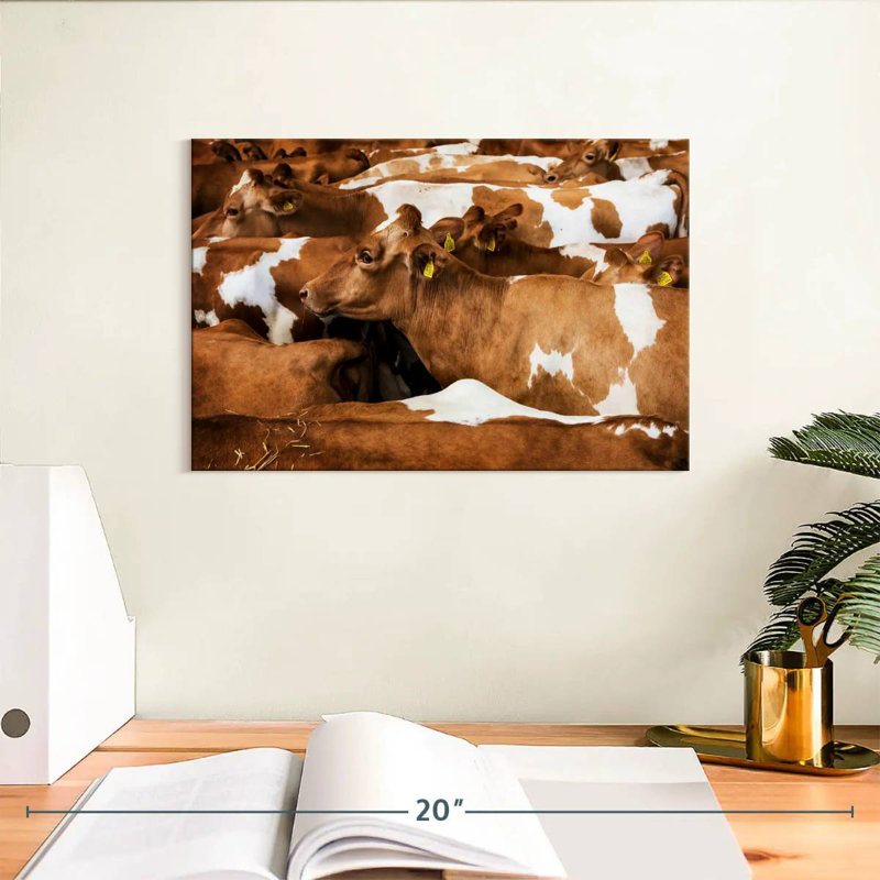 Brampt Guernsey Cows, 8" H x 12" W